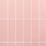 Luso Rose Gloss Ceramic Tile - 100x200mm