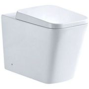 Back To Wall Toilet & Soft Close Seat