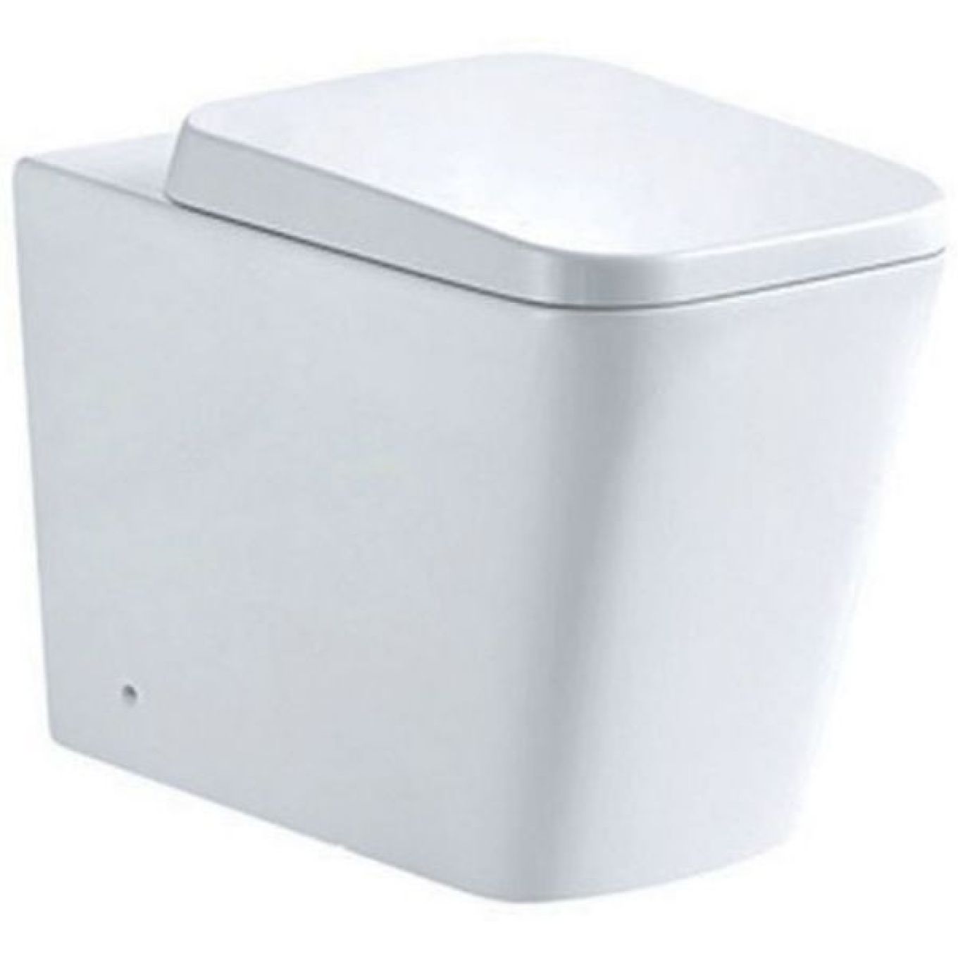 Back To Wall Toilet & Soft Close Seat