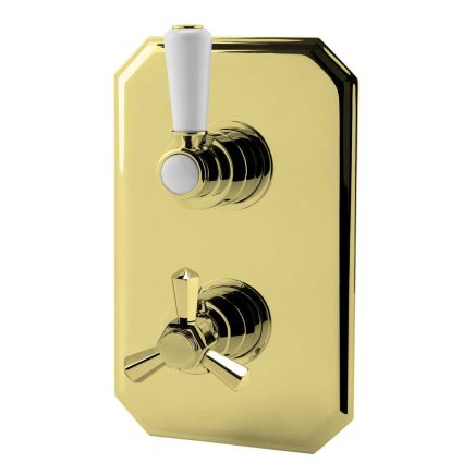 Single Outlet Concealed Shower Valve - English Gold