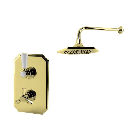 Single Outlet Concealed Valve with Shower Head - English Gold